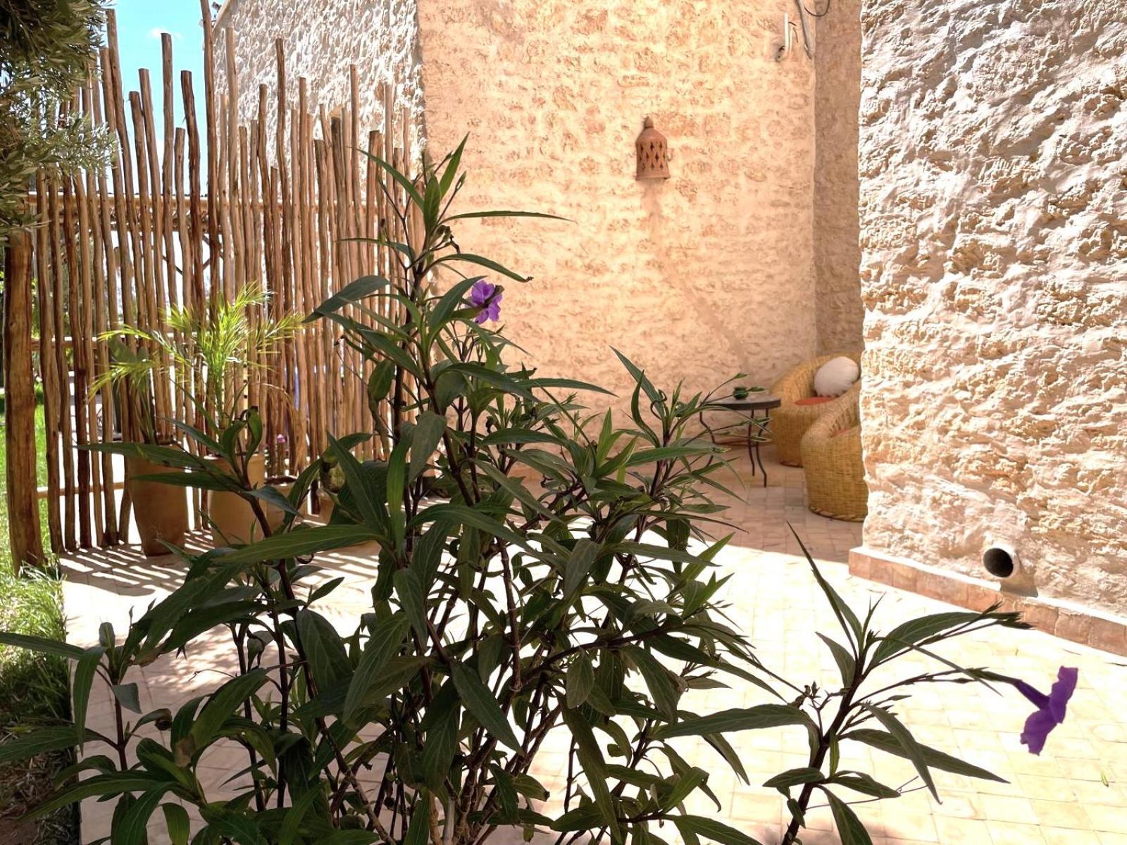 Riad Sabidi Essaouira Luaran gambar