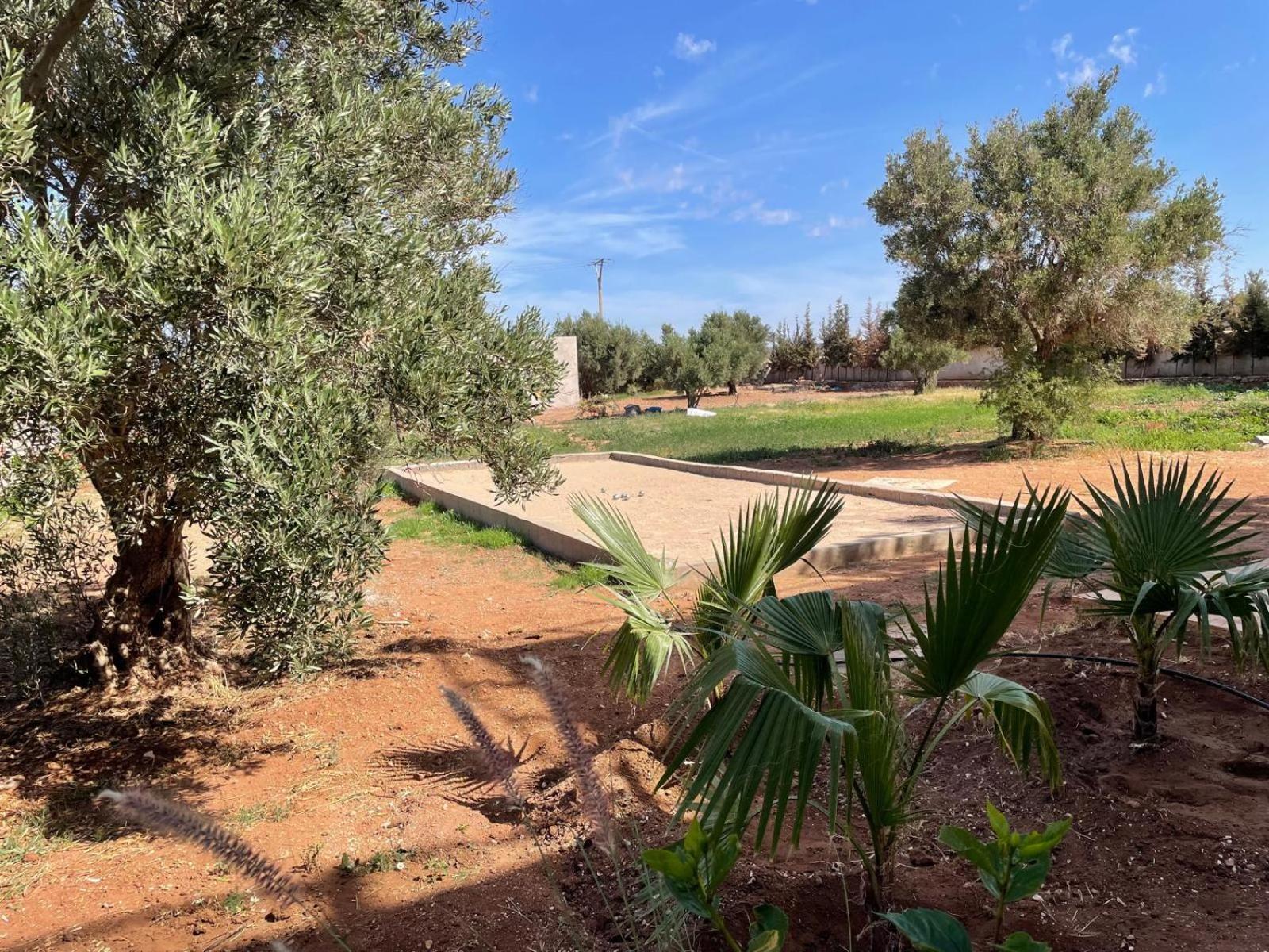 Riad Sabidi Essaouira Luaran gambar