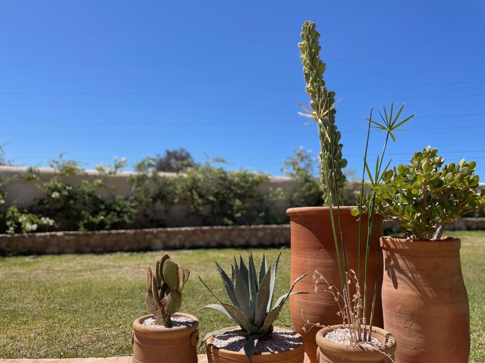 Riad Sabidi Essaouira Luaran gambar